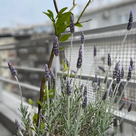 Appartamento Domus With Wonderful Balcony